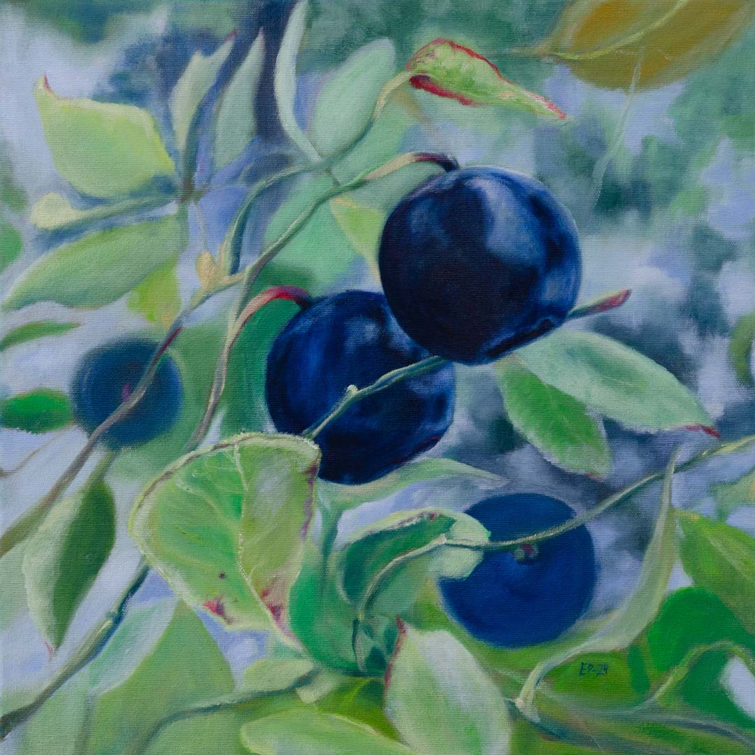 Mustikat II (2024), öljyväri 40x40 cm, tilausteos